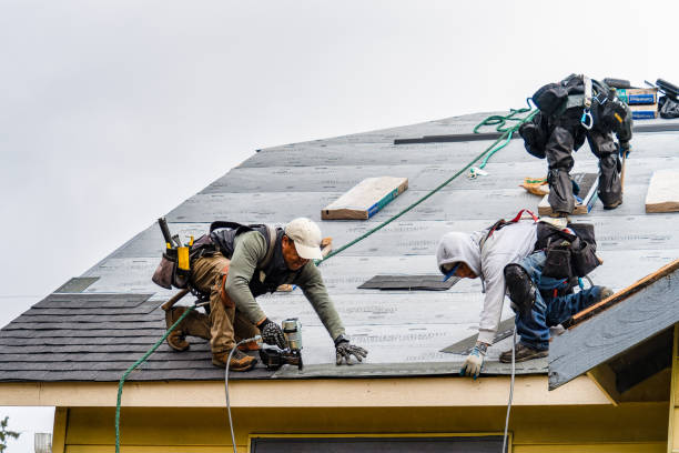 Professional Storm Damage Roof Repair technician working in East Homer, NY